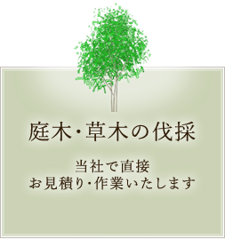 庭木・草木の伐採 当社で直接お見積り・作業いたします